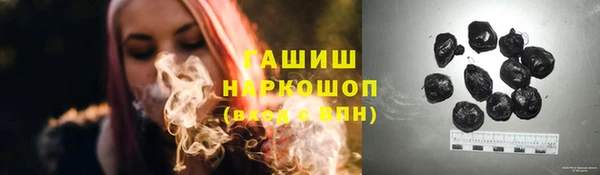 apvp Алзамай