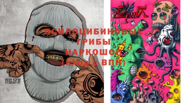 ПСИЛОЦИБИНОВЫЕ ГРИБЫ Алексин