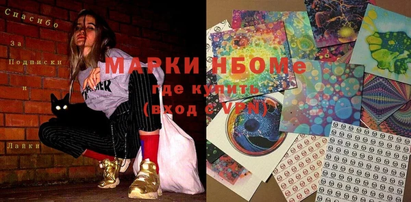 apvp Алзамай
