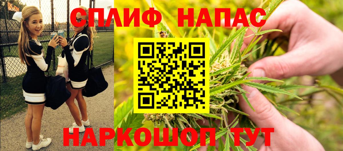 Каннабис SATIVA & INDICA  Канабис семена  Белгород  Вход с VPN  Конопля SATIVA & INDICA  Шишки марихуана план 